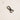 Premium Black Black Swivel Bolt Snap - 10mm - hardware