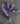 Premium webbing 26mm width - webbing