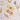 Shell Twist Lock and Collar Clasp - gold -C - hardware